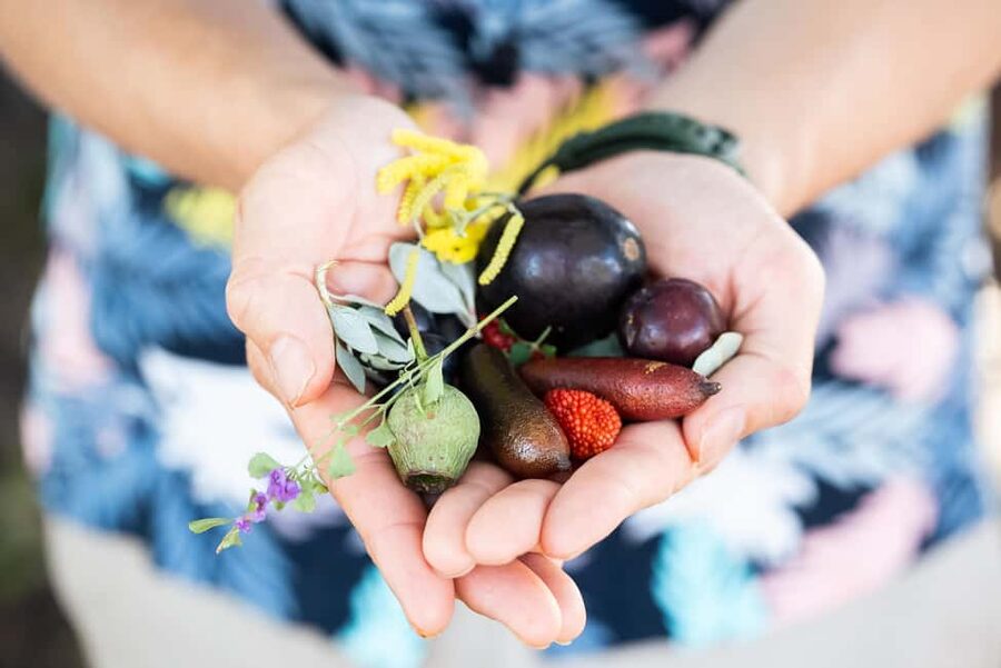 Foraging Food Tour Sydney Native Aussie Food - The tasting lineup: lemon myrtle, macadamia, and Davidson plum