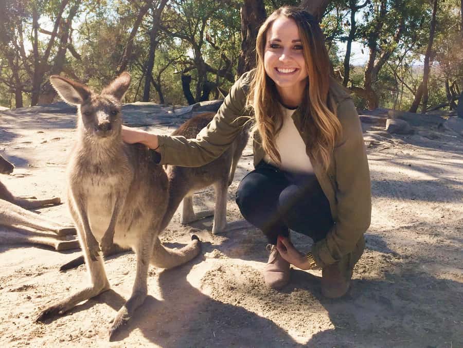 From Haymarket: Hunter Valley Wine and Wildlife Day Trip - Key highlights at a glance