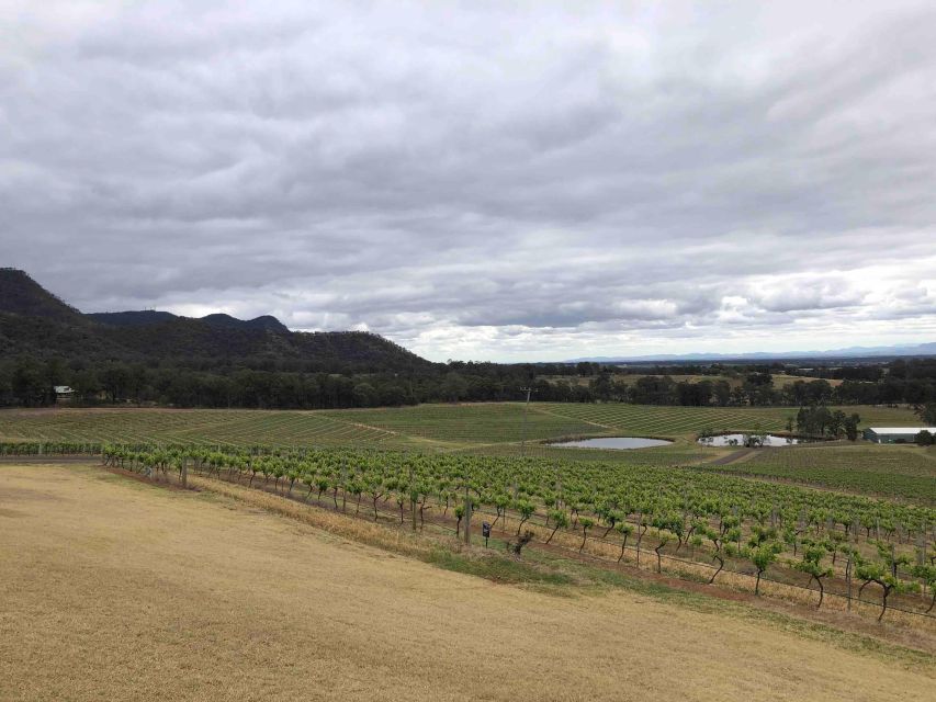 From Haymarket: Hunter Valley Wine and Wildlife Day Trip - Who this trip suits best (and who should skip it)