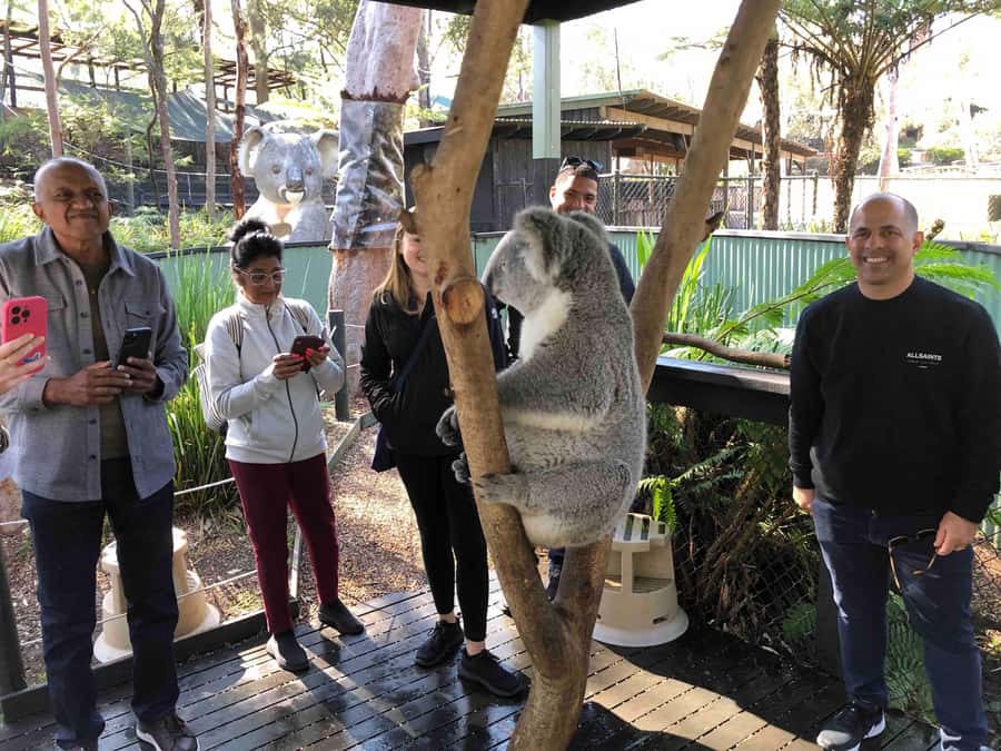 From Haymarket: Hunter Valley Wine and Wildlife Day Trip - Chocolate and cheese first: the taste warm-up that works