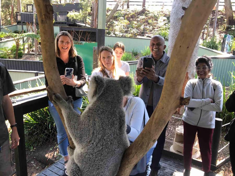 From Haymarket: Hunter Valley Wine and Wildlife Day Trip - Lunch and the 30 AUD upgrade: when you should add it