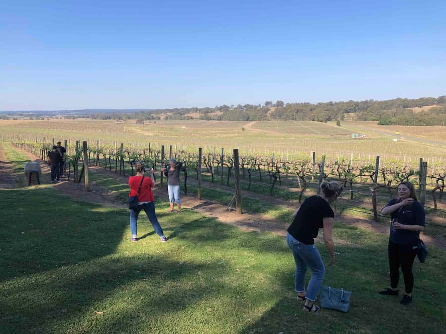From Haymarket: Hunter Valley Wine and Wildlife Day Trip - Price and value: the real cost breakdown