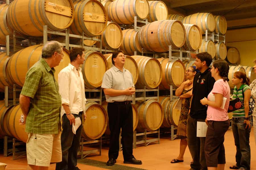 From Sydney: All Inclusive Boutique Hunter Valley Wine Tour - Price and Value: Is $166 Worth It?