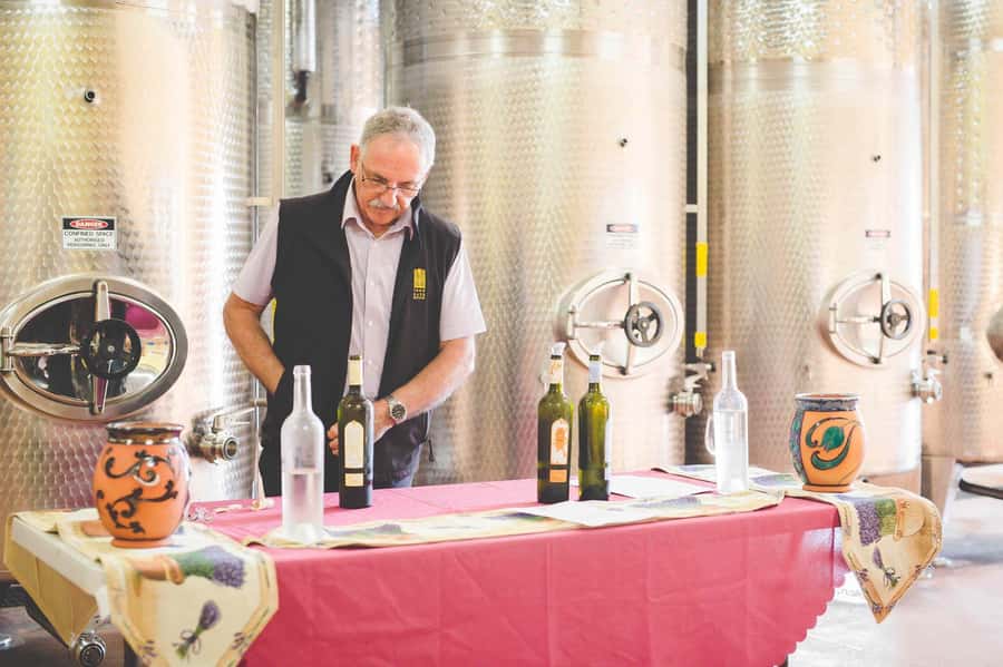 From Sydney: Award-Winning Hunter Valley Wine & Cheese Tour - The Lunch Stop in Pokolbin: A Break That Doesn’t Kill the Day