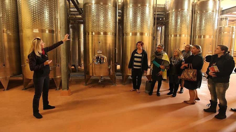 From Sydney: Award-Winning Hunter Valley Wine & Cheese Tour - Your Semillon and Shiraz Comparisons: How to Think About the Flights