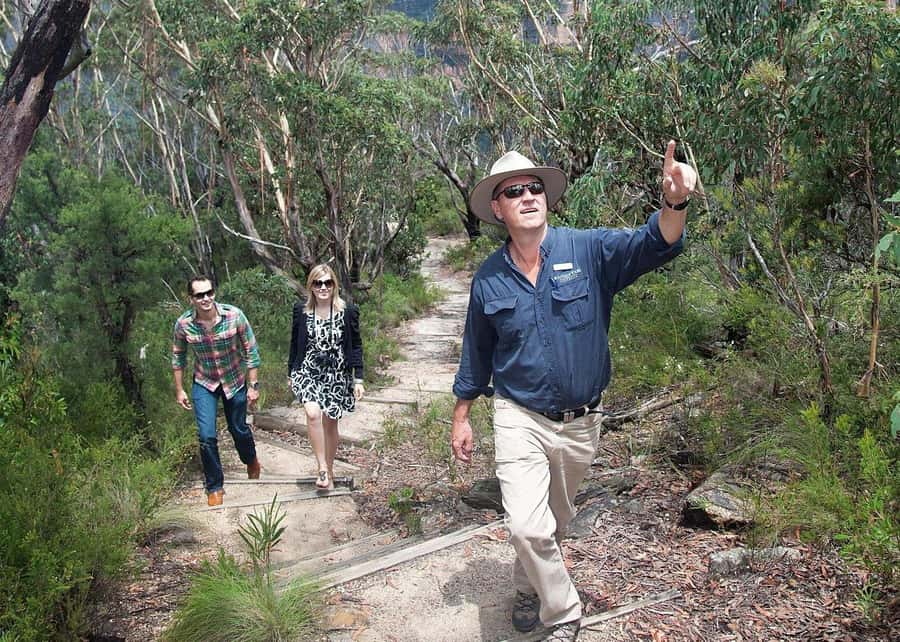 From Sydney: Blue Mountains Bushwalks & Featherdale Tour - A tight 11-hour escape with Sydney pickup