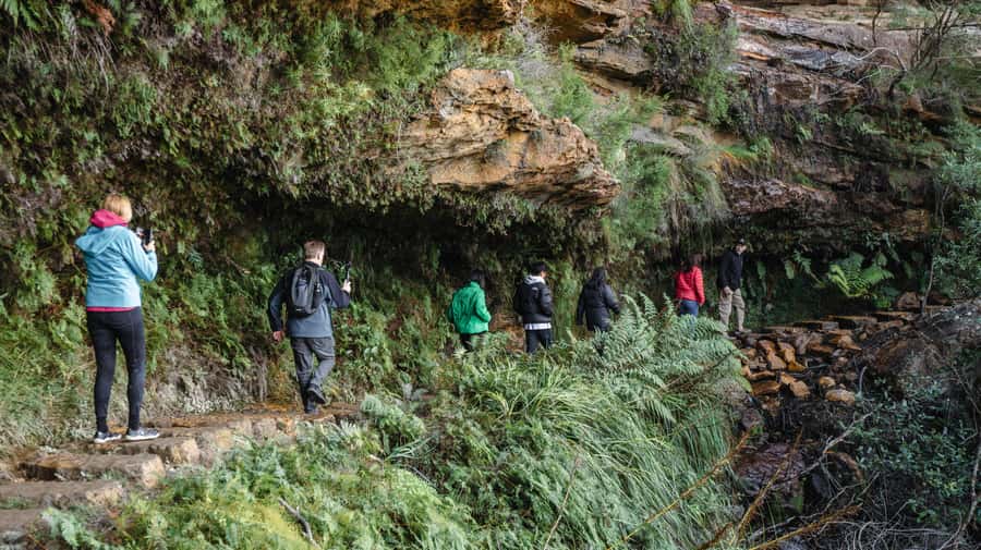 From Sydney: Blue Mountains Bushwalks & Featherdale Tour - Katoomba lunch break: use the hour well