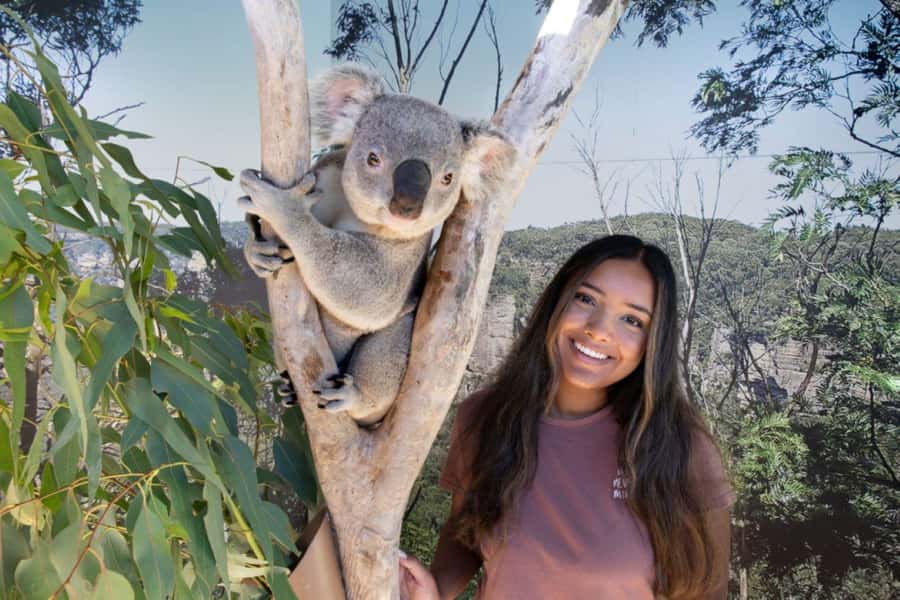 From Sydney: Blue Mountains Day Tour & Hop-on, Hop-off Tour - Sydney Zoo stop: quick, friendly wildlife time