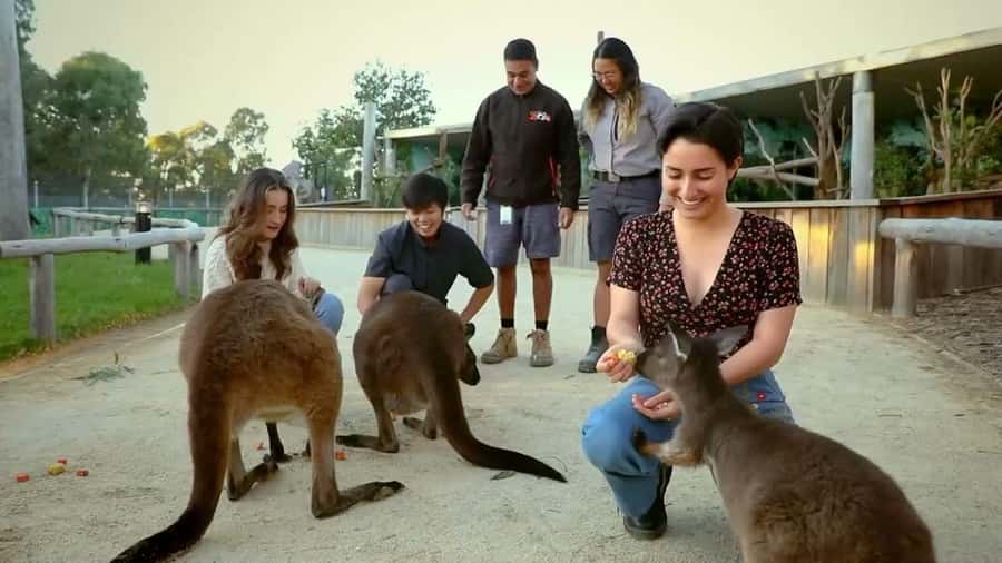 From Sydney: Blue Mountains Day Tour & Hop-on, Hop-off Tour - Return to Sydney around 6pm, then use Big Bus your way