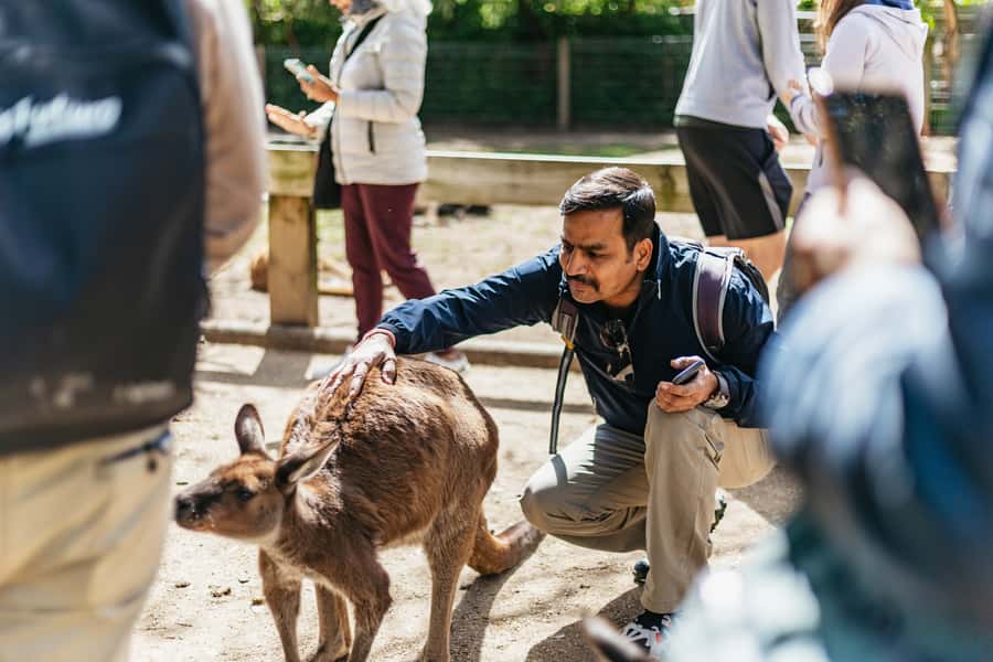 From Sydney: Blue Mountains Full-Day Trip - Who this tour suits best (and who should skip it)