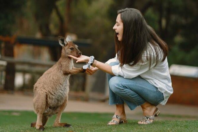 From Sydney Blue Mountains Private Tour with Wildlife Park - Blue Mountains in one day, with the comfort of a private car
