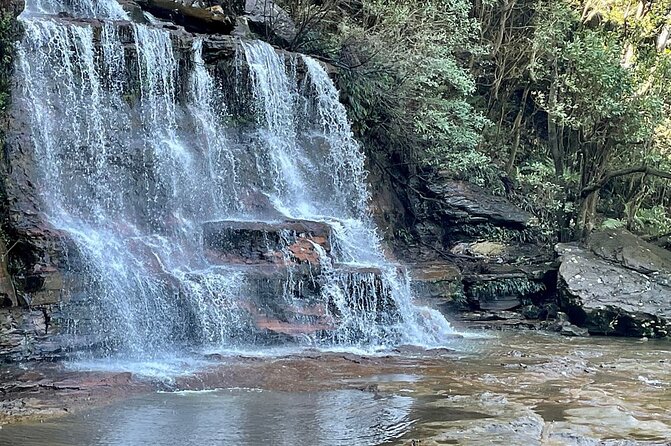 From Sydney Blue Mountains Private Tour with Wildlife Park - Scenic World: the ticketed add-on and how to decide