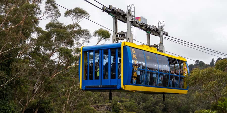 From Sydney: Blue Mountains, Scenic Railway, & Sydney Zoo - Sydney Zoo: wildlife first, then a First Nations cultural talk