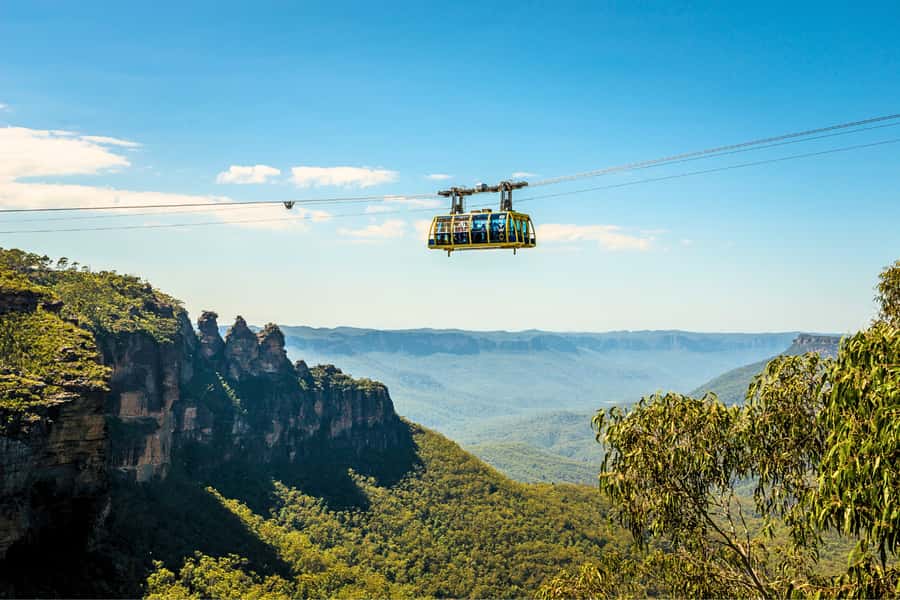 From Sydney: Blue Mountains, Scenic Railway, & Sydney Zoo - Price and value: is $117 per person a good deal?