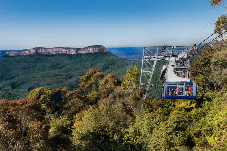 From Sydney: Blue Mountains, Scenic World, Zoo, & Ferry Ride - Who should choose this tour, and who should skip it