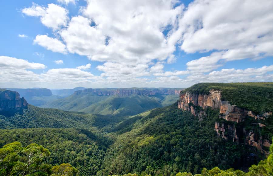 From Sydney: Blue Mountains, Sydney Zoo & Walking Tour - Homebush Bay and the River Boat Finish: How the Day Winds Down