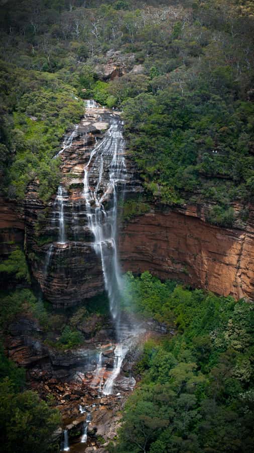 From Sydney: Blue Mountains, Sydney Zoo & Walking Tour - Katoomba Falls: Walking Time, Cascades, and Optional Explorations