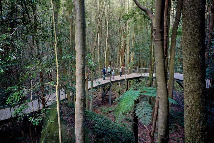 From Sydney: Blue Mountains, Sydney Zoo & Walking Tour - Scenic World at Katoomba: Boardwalk Views, Cliff Walk, and Extra-Cost Rides