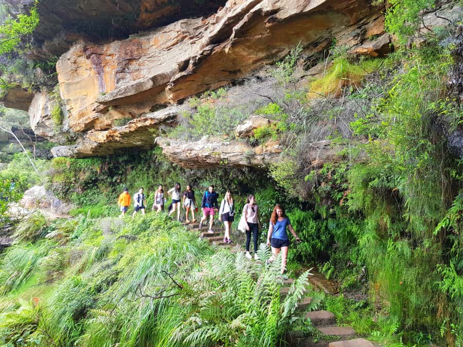From Sydney: Blue Mountains Tour with Waterfall Walk & Lunch - Why This Blue Mountains Day Trip Feels Easier Than Driving