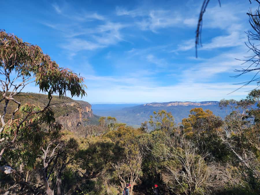 From Sydney: Blue Mountains Tour with Waterfall Walk & Lunch - Wentworth Falls Waterfall Walk: The Main Attraction