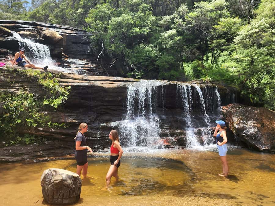 From Sydney: Blue Mountains Tour with Waterfall Walk & Lunch - Optional Steps of Doom Advice (and How to Decide on the Day)