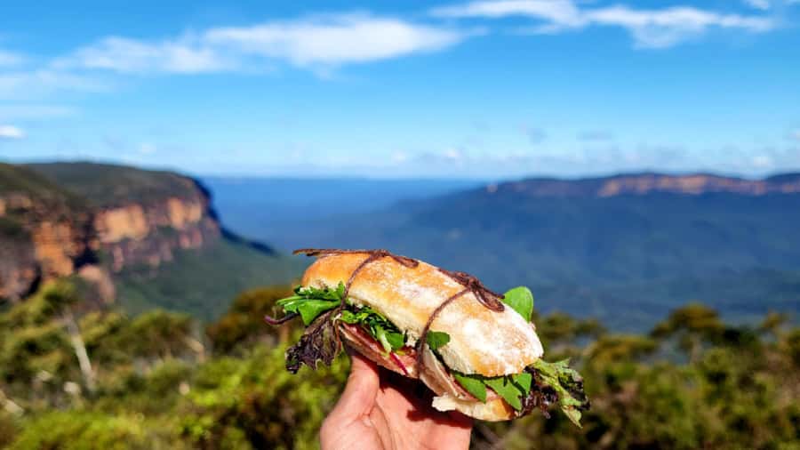 From Sydney: Blue Mountains Tour with Waterfall Walk & Lunch - The Lookouts, Stopping Points, and Quick Wildlife Surprises