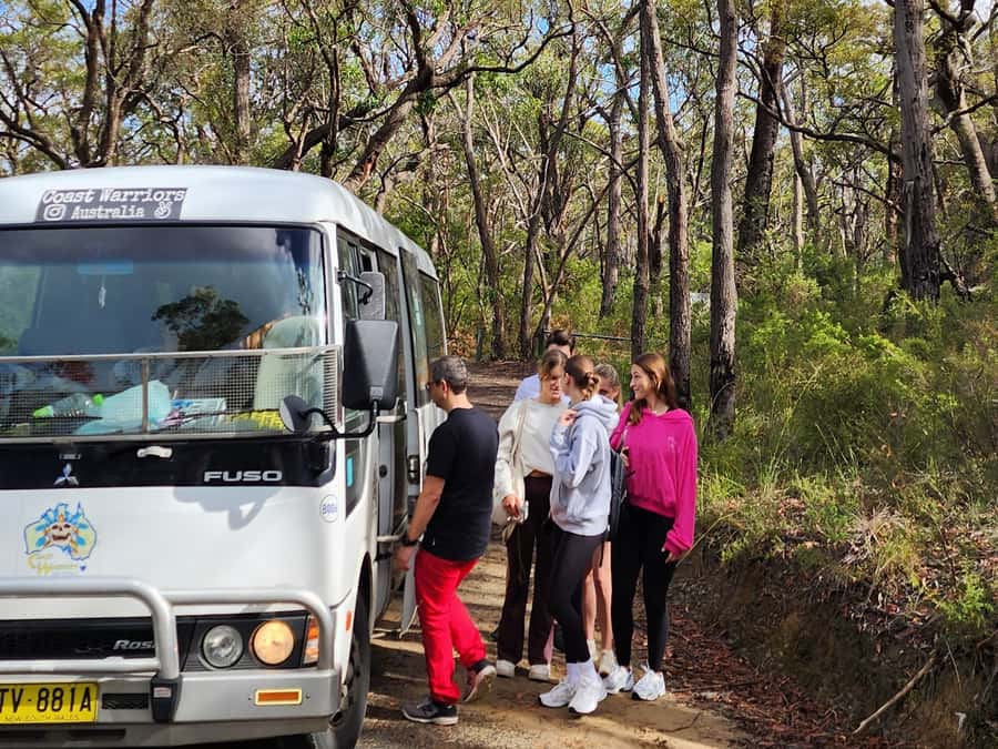 From Sydney: Blue Mountains Tour with Waterfall Walk & Lunch - Lunch on the Bus: Fresh Continental Roll, Dietary Friendly