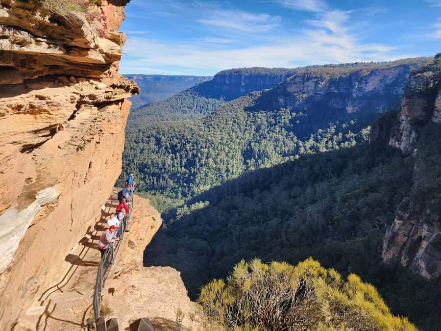 From Sydney: Blue Mountains Tour with Waterfall Walk & Lunch - Meeting Point and the 7:30am Start From George Street