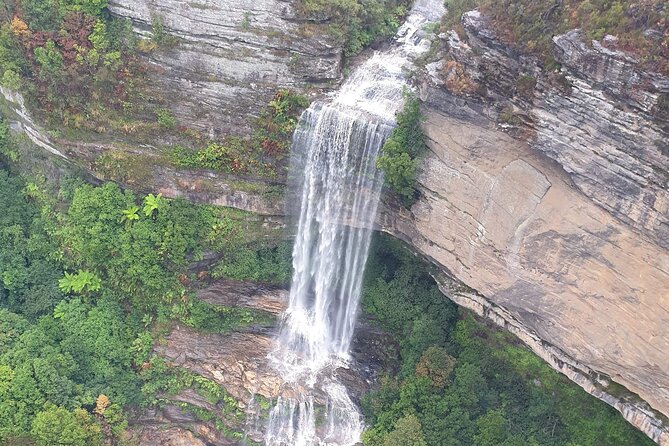 From Sydney: Blue Mountains with Zoo, Koala Photo & Scenic World - Scenic World: unlimited rides, big views, and the queue reality