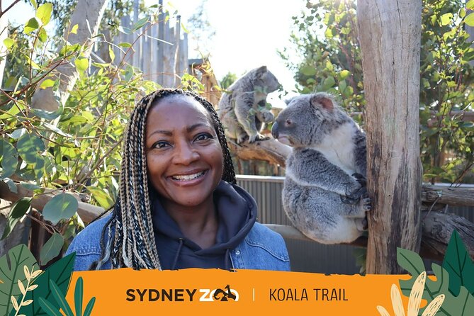 From Sydney: Blue Mountains with Zoo, Koala Photo & Scenic World - Cahill’s Lookout: a calmer photo stop before you head back