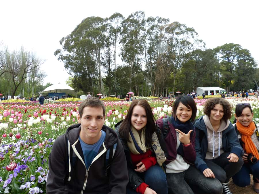 From Sydney: Canberra City Highlights and Floriade Day Tour - Timing, comfort, and what to budget for during meals