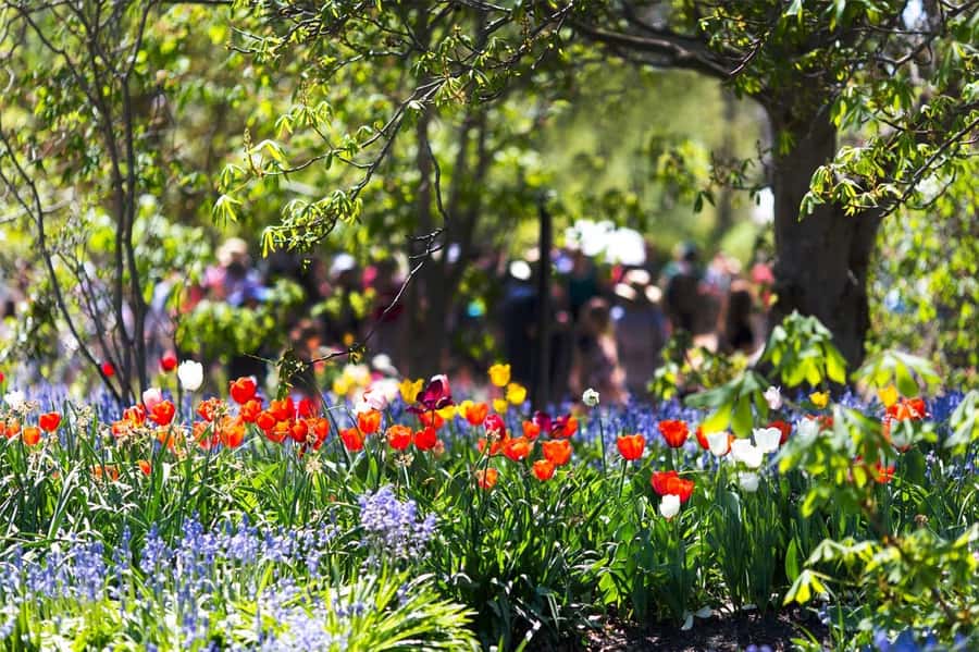 From Sydney: Canberra City Highlights and Floriade Day Tour - Who this day trip suits best