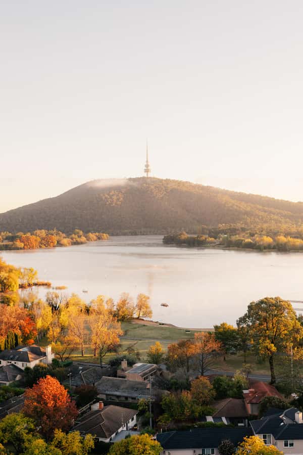 From Sydney: Canberra Floriade Festival Includes Lunch - Lunch at Star Buffet: the reset that makes the day work