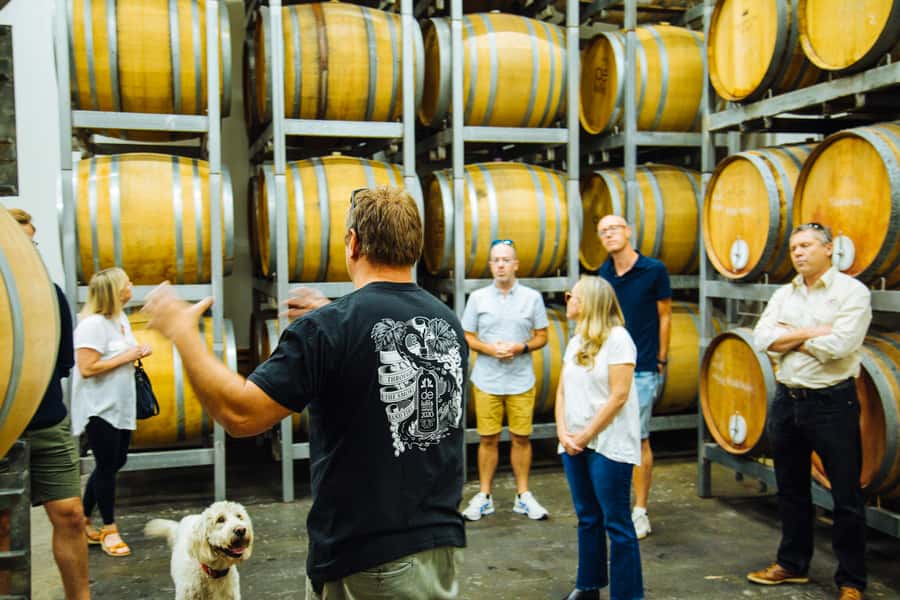 From Sydney: Full-Day Hunter Valley Tour w/ Tastings & Lunch - Ending at a distillery for spirits tasting before the Sydney return