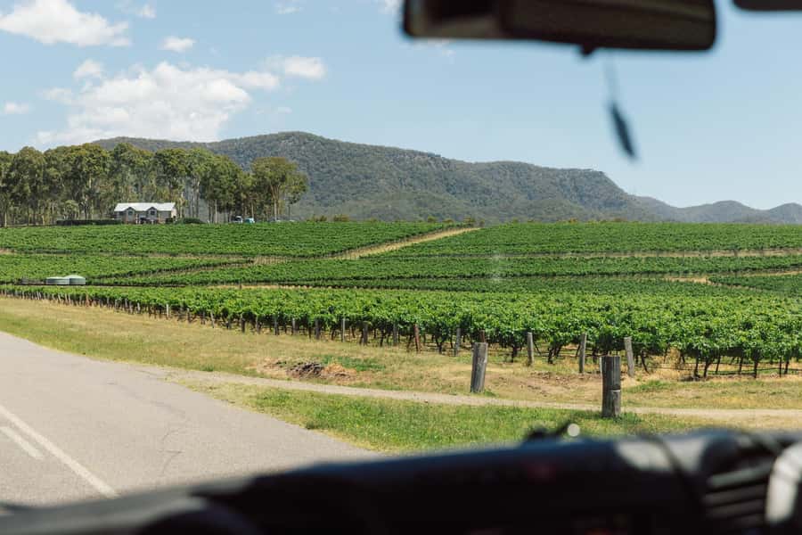 From Sydney: Full-Day Hunter Valley Wine Tour & Lunch - Price and value: what $155 buys you in the real world