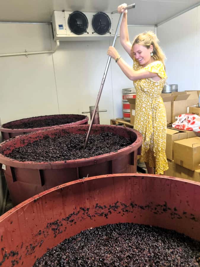 From Sydney: Hunter Valley Beer & Wine Group Tour - Hunter Valley in one long day from Sydney, what 690 minutes really means