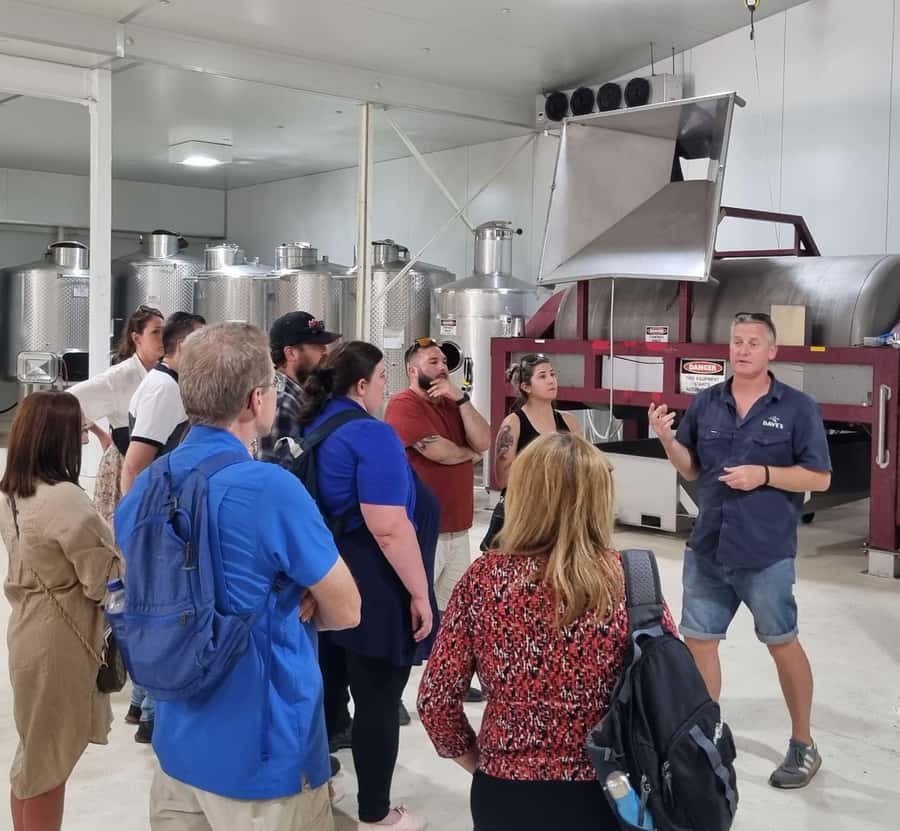 From Sydney: Hunter Valley Beer & Wine Group Tour - First winery visit: vineyard and production tours that make tastings make sense