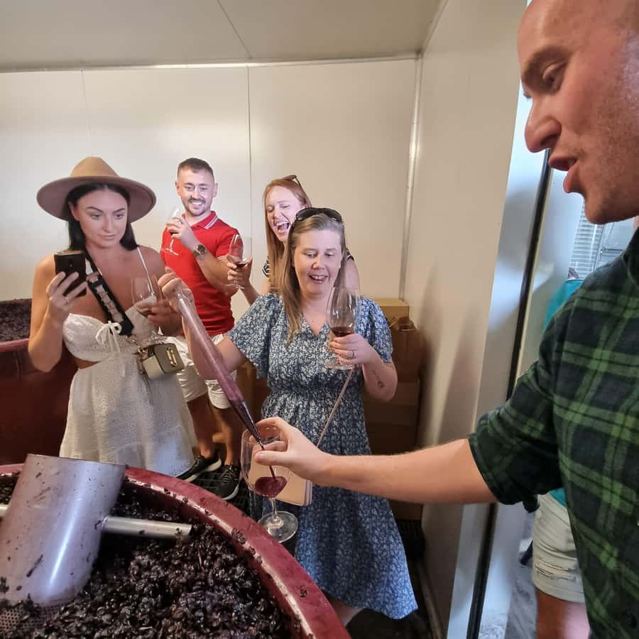 From Sydney: Hunter Valley Wine, Gin & Food Tastings Tour - Value and Price: Is $159 a Good Deal?