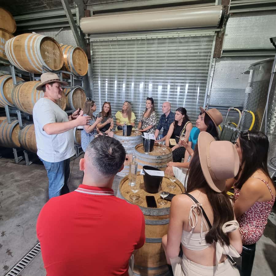 From Sydney: Hunter Valley Wine, Gin & Food Tastings Tour - Sydney Pickup, Road Time, and How to Stay Comfortable