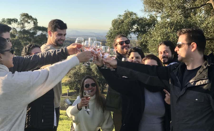 From Sydney: Hunter Valley Wine Tasting & Winery Picnic Tour - From Sydney To Pokolbin: A One-Day Route That Makes Hunter Valley Feel Easy