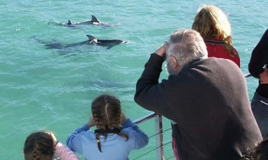 From Sydney: Jervis Bay Day Tour and Dolphin Watching Cruise - Huskisson breaks for food and photo ops: how lunch works