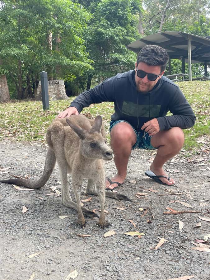 From Sydney: Jervis Bay Day Tour and Dolphin Watching Cruise - Transport comfort and what to bring for a beach-heavy day
