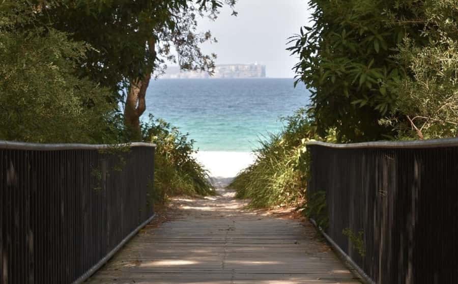 From Sydney: Jervis Bay Day Tour and Dolphin Watching Cruise - Price and value: is $94 worth it?