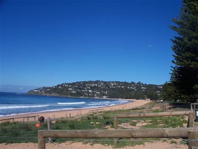 From Sydney: Location Tour of Home and Away - The Northern Beaches drive: scenery that sets expectations