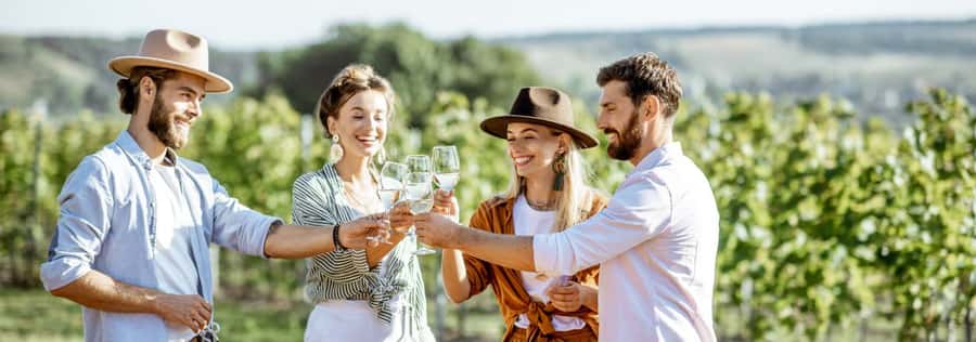 From Sydney: Luxury Hunter Valley Private Tour - Key things that make this Hunter Valley tour feel special