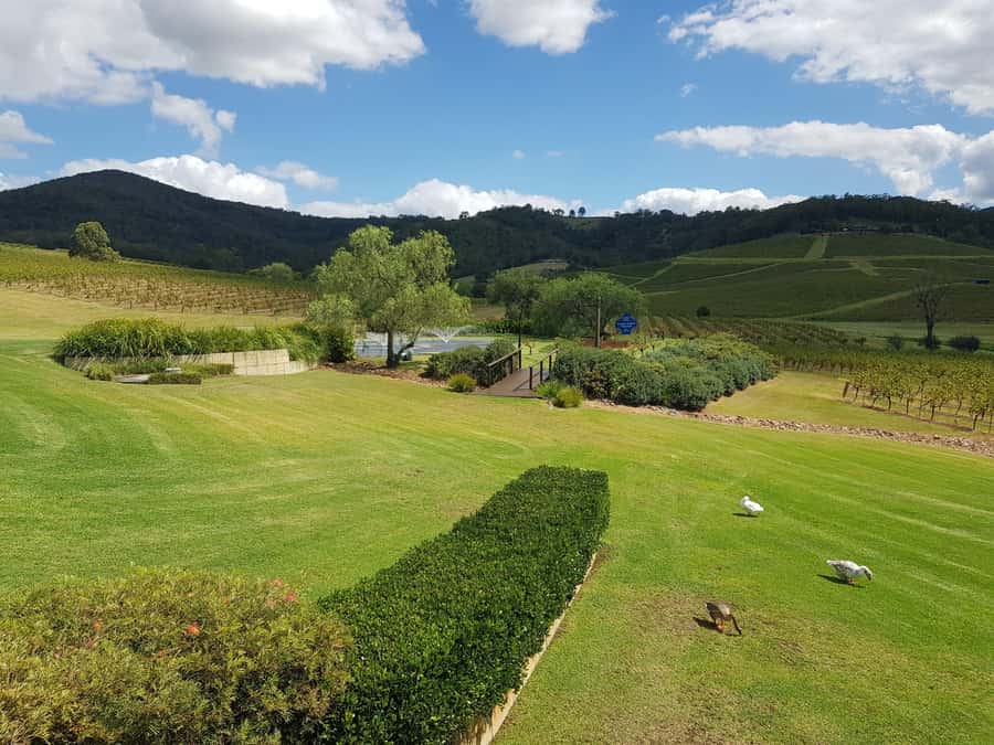 From Sydney: Luxury Hunter Valley Private Tour - Hunter Valley Cheese Company, for a food-first kind of tasting day