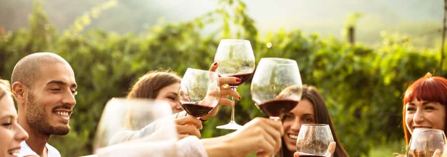 From Sydney: Luxury Hunter Valley Private Tour - Lunch at 4 Pines at The Farm, then back to the glasses