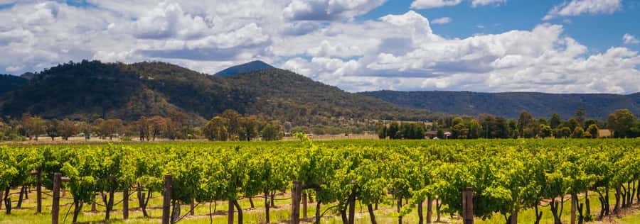 From Sydney: Luxury Hunter Valley Private Tour - Price and value: is $743 per person worth it?