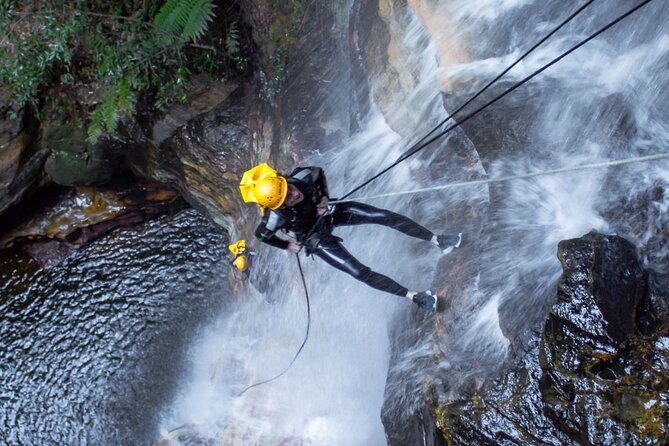 Full-Day Canyoning Experience at Stunning Empress Canyon - Why Empress Canyon is such a strong Blue Mountains choice