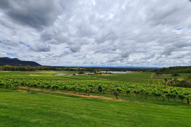 Full Day Private Wine Tour Exclusively Tailored To Suit You - Key highlights worth knowing